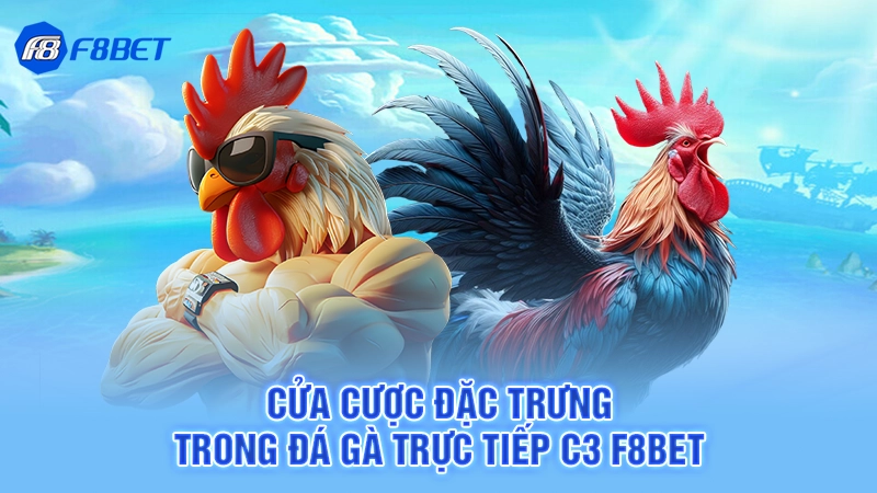Đá Gà Trực Tiếp C3 F8bet 4 Cửa cược đặc trưng trong đá gà trực tiếp C3 F8bet