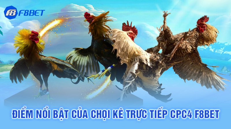 Đá Gà Trực Tiếp CPC4 Tại F8bet 3 Điểm nổi bật của chọi kê trực tiếp cpc4 F8bet