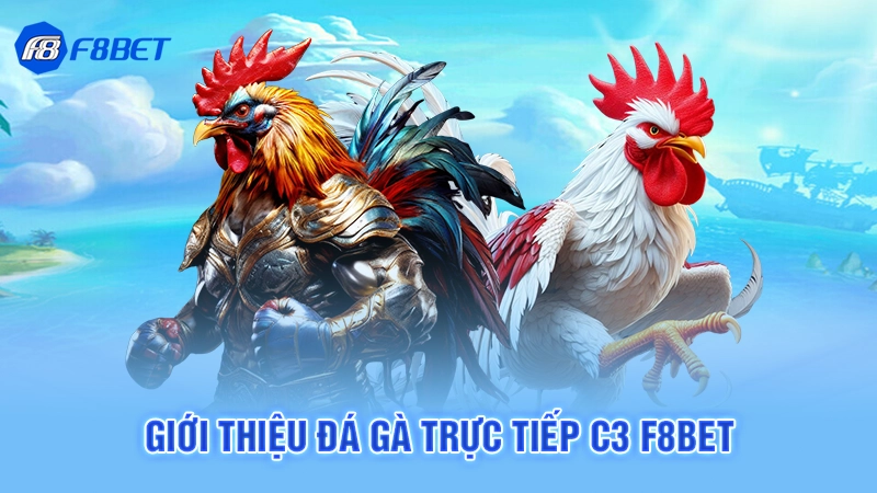 Đá Gà Trực Tiếp C3 F8bet 2 Giới thiệu đá gà trực tiếp C3 F8bet