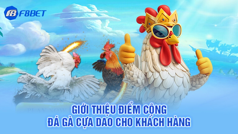 Đá Gà Cựa Dao F8bet 3 Giới thiệu điểm cộng đá gà cựa dao cho khách hàng
