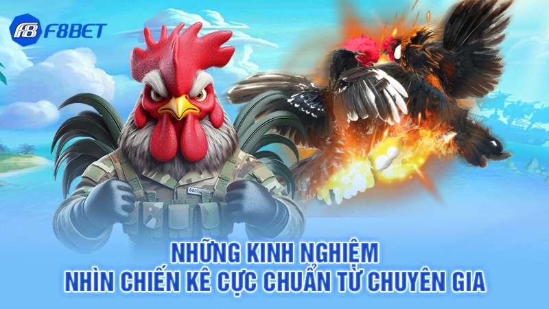 Đá Gà Uw99 - Cá Cược Chọi Kê Đẳng Cấp 4 Những kinh nghiệm nhìn chiến kê cực chuẩn từ chuyên gia