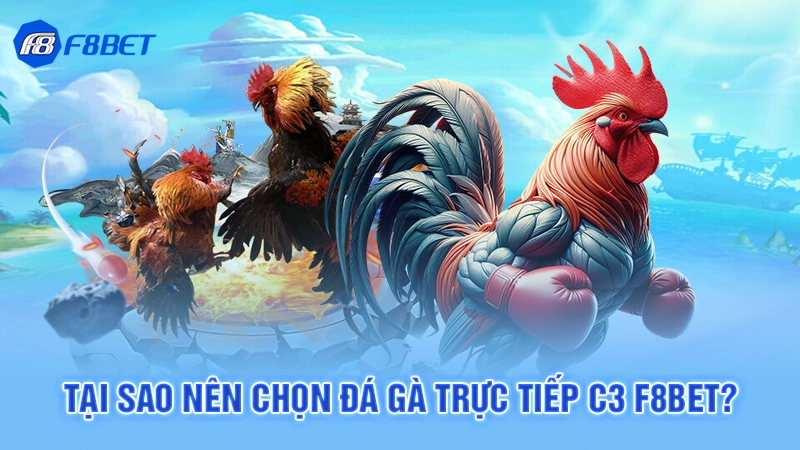 Đá Gà Trực Tiếp C3 F8bet 3 Tại sao nên chọn đá gà trực tiếp C3 F8bet?