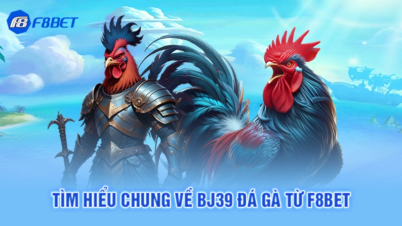 Bj39 Đá Gà F8bet 2 Tìm hiểu chung về Bj39 đá gà từ F8bet