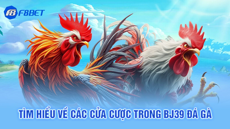 Bj39 Đá Gà F8bet 4 Tìm hiểu về các cửa cược trong Bj39 đá gà